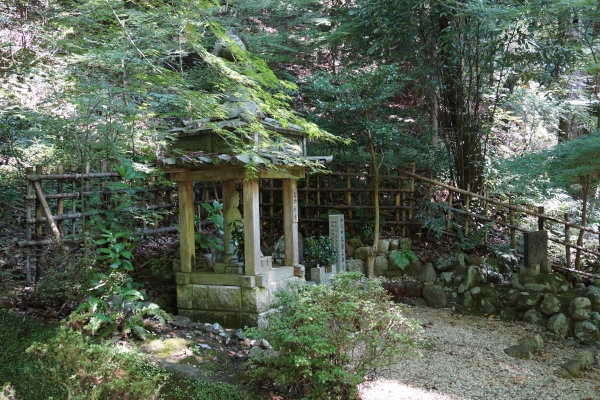 camp27 (154).jpg
